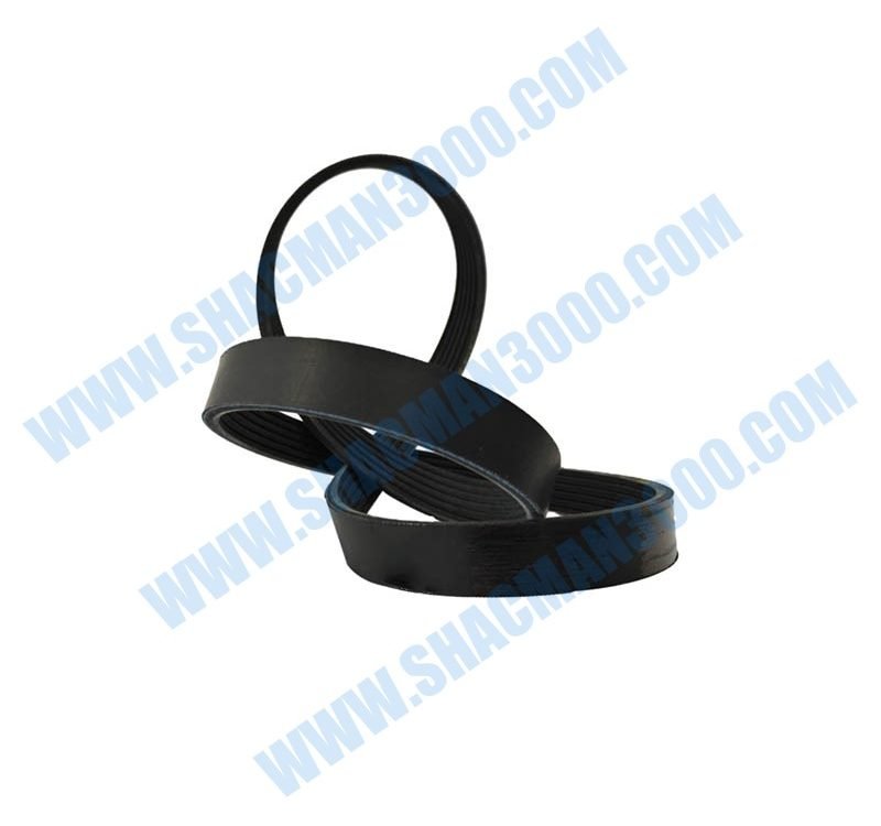 DZ16251230015 Sealing Strip