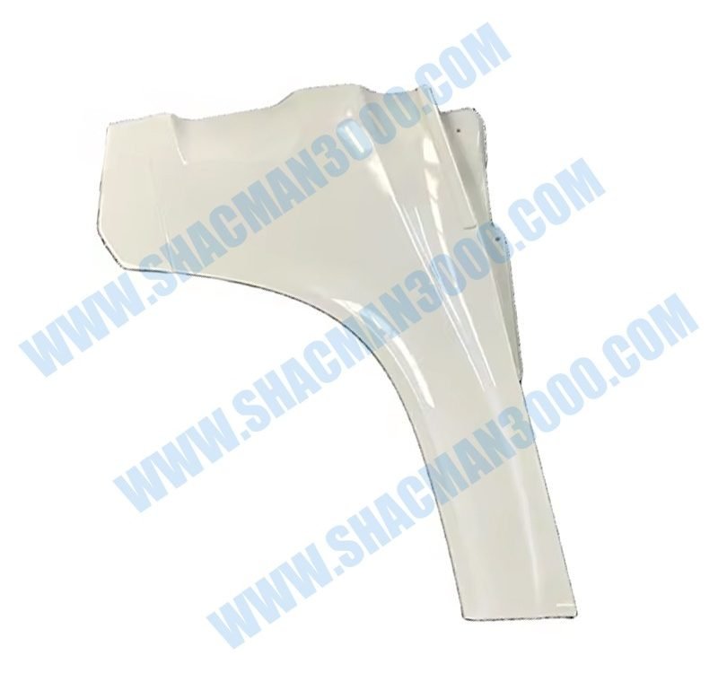 Lower Door Guard Right DZ16251330152