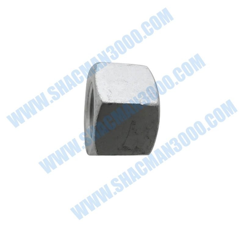 DZ91259527020D Dtf-Hexagonal Flange Nut M20×1.5-10
