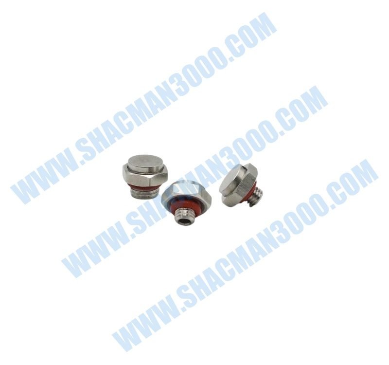 DZ9X259090022 Screw Plug M10×1.5
