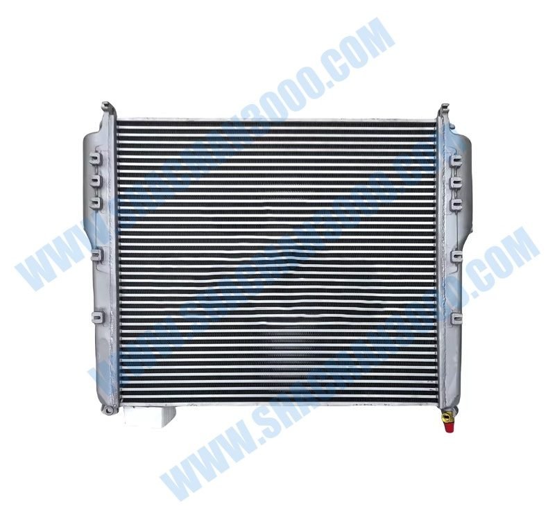 Intercooler DZ9X259531004