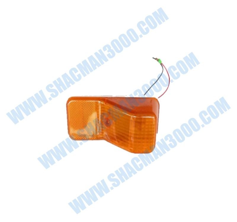 DZ9X259720017 Right Door Light