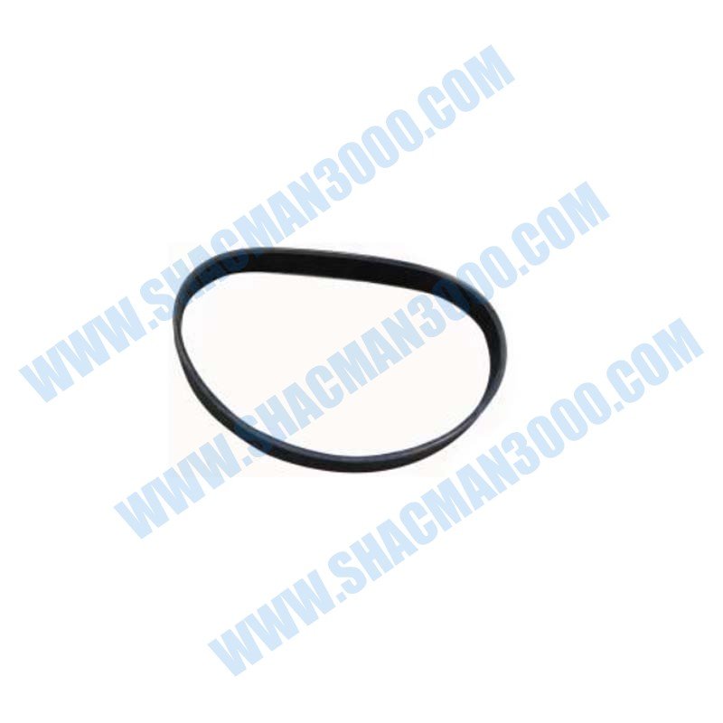 LEO100048A Drive Belts