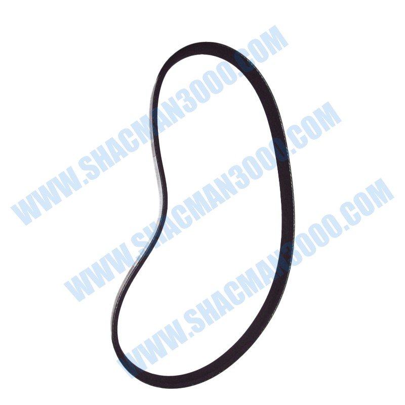 LEO100055A Belt Drive