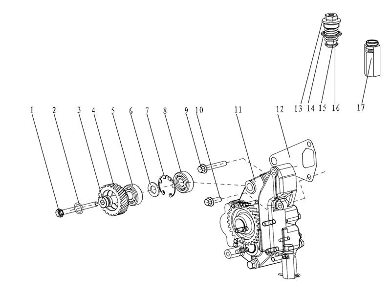 Shacman F2000&F3000 A Combined Oil Pump